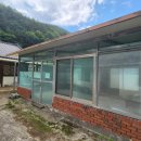 내일1리 이미지