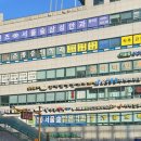 서울숲삼성안과의원 | 서울숲에서 만난 믿음직한 안과, 윗눈꺼풀 통증의 답을 찾다