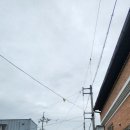 제3회 임실N치즈배 전국 탁구대회 후기