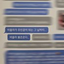 취미 비올라 2년 회고록 - 솔바이올린 학원 &amp; 개인레슨, 효정악기 구매
