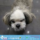 수지동물의료원 이미지
