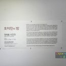 사진협동조합루시다 이미지