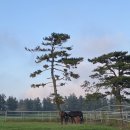 다다목장 이미지