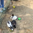 칠현산장수촌 이미지