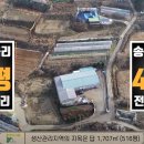 (주)그린시티 Daum카페