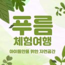 푸름체험여행