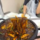 보오 | 속초 가보오 토종닭 오픈런 후기 - 내돈내산 진심 리뷰