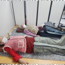 금강노인복지관 | 본촌동데이케어센터 금강노인복지센터에서 빛나는 어르신 돌봄 후기