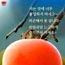 넌지시 ~~시 이미지