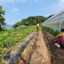 현정이네 농장 이미지