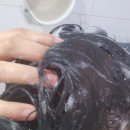 봄비유 한올 맥주 효모 탈모 샴푸 탈모와 두피 고민을 한 번에 해결