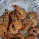 유영이네삼촌카세 네이버블로그
