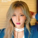 더블랙 이미지