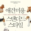 권동석애견미용학원