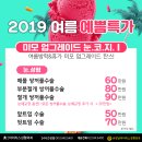 아이리스성형외과의원 이미지