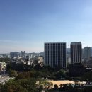 그린청청 이미지
