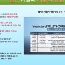 웰시스 이미지