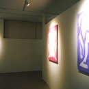 셀로스터스 이미지