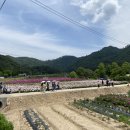 방량로농장 네이버블로그
