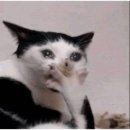 The D왈G # | 대구 프리아 웨딩 홀투어 후기