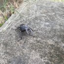 휴양림펜션 이미지