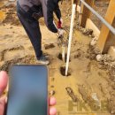 보령수산업협동조합 수협주유소 이미지