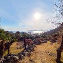 바다가 보이는 정원 이미지