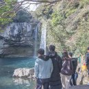 천지연 폭포 이미지