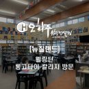 칼리지 | 뉴질랜드 웰링턴 남자 공립학교 롱고타이 칼리지 (Rongotai College) 방문 후기