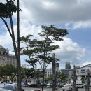 씨유 목포평화중앙점 | [목포] 평화광장 목포 태국 음식 맛집 &#39;나나 방콕 목포 평화광장점&#39; 솔직 후기