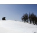 춘삼월목장 이미지