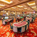 파라다이스 이미지