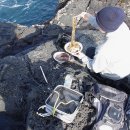 자장자장민박 이미지