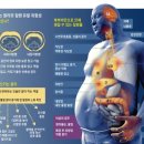 바른 한약국 이미지