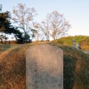 영응대군 묘 및 신도비 이미지