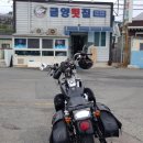 금양횟집 이미지