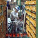 필엔지니어링