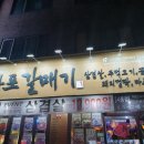 안산갈매기 이미지