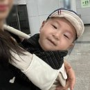 매봉제일마트 | 9개월 후반 일기 (D+286~299) | 움직임·의지 급성장 | 애기봉·청계산 등산부터 백화점·문센까지