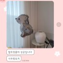 롤링벌룬 이미지