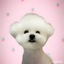 하해가 | [공지] [광주 상무지구 장어구이 맛집] 내돈내먹 하해가 솔직후기