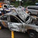 남산1호 이미지