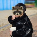 작은영화관 | 함양 영화관 어디? 새로 생긴 함양군작은영화관 다녀온 후기(할인, 교통정보)