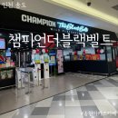 챔피언더블랙벨트 홈플러스 송도점 4살 8살 남매가 뿌시고 온 후기
