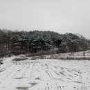 터골농원 이미지