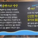 야생골뱅이 네이버블로그