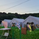 멍선생 애견카페 이미지