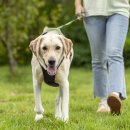 24시 에피소드 동물 메디컬 센터 이미지