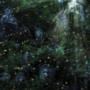 반딧불이 이미지