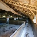 경구농장 이미지